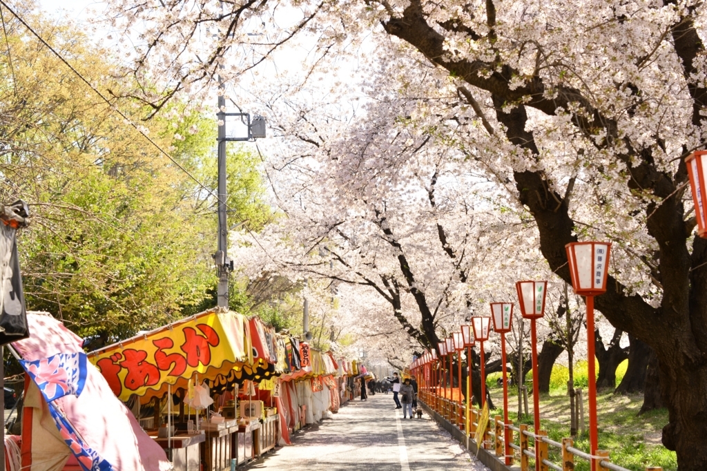 f:id:aokami:20180401135054j:plain