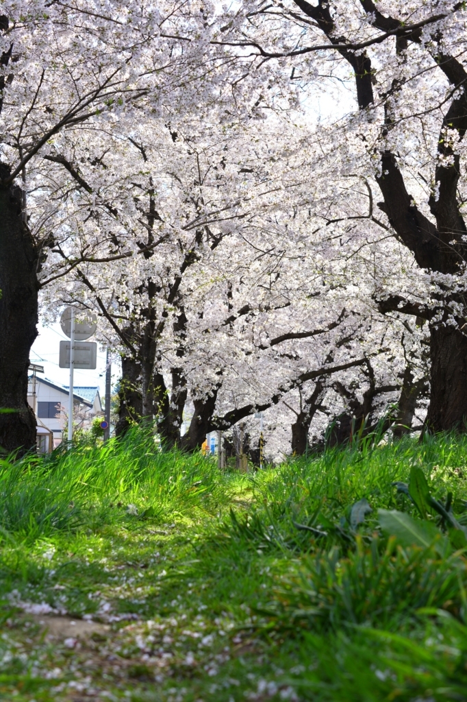 f:id:aokami:20180401141712j:plain