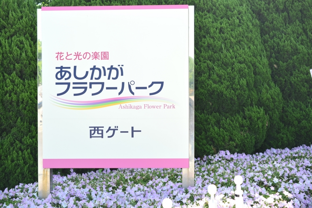 f:id:aokami:20180520160614j:plain