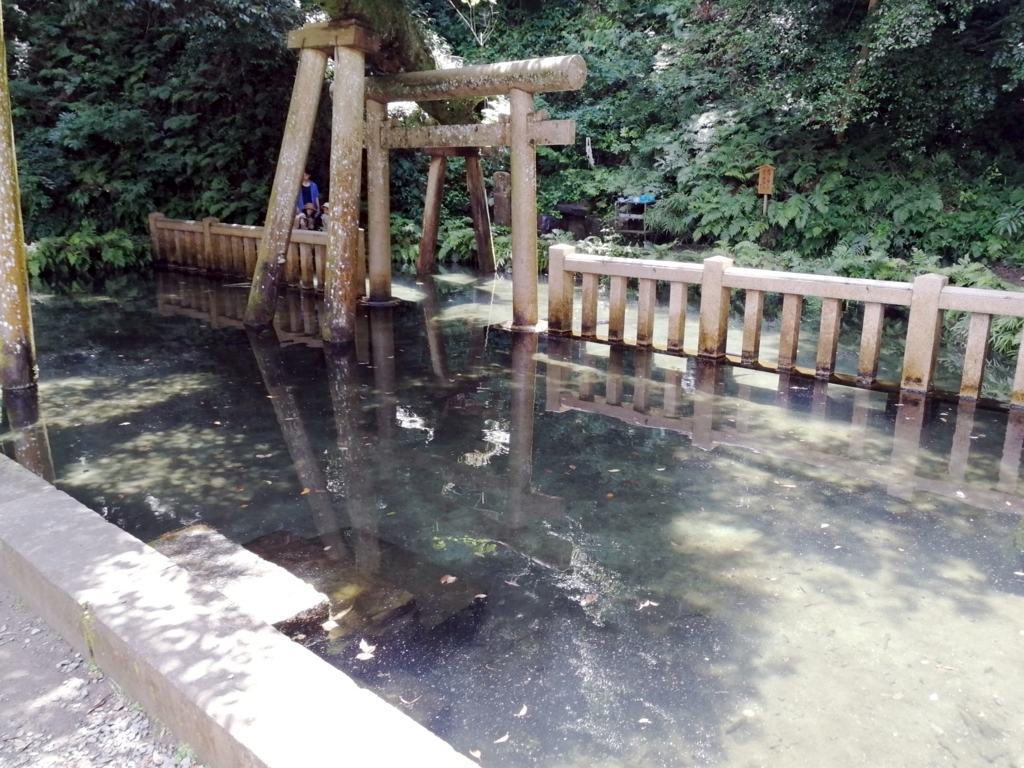 f:id:aokami:20180708193118j:plain f:id:aokami:20180708193118j:plain