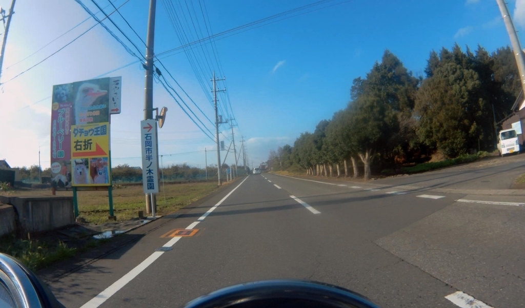f:id:aokami:20181104133827j:plain