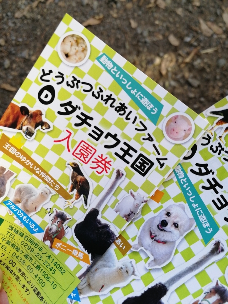 f:id:aokami:20181104135930j:plain