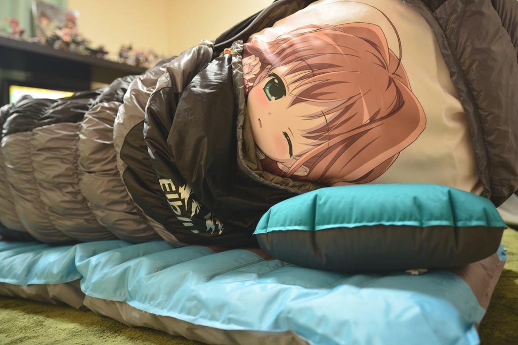 f:id:aokami:20181110160841j:plain
