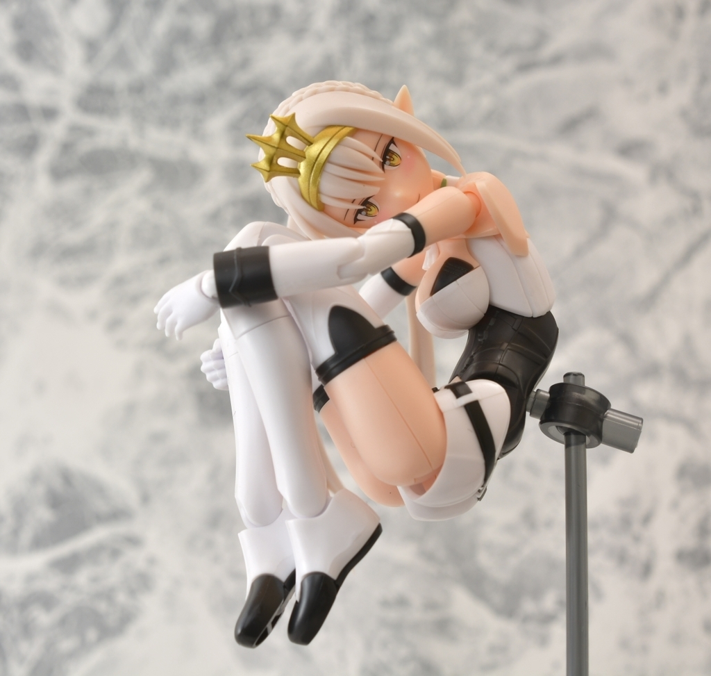 f:id:aokami:20190210135239j:plain