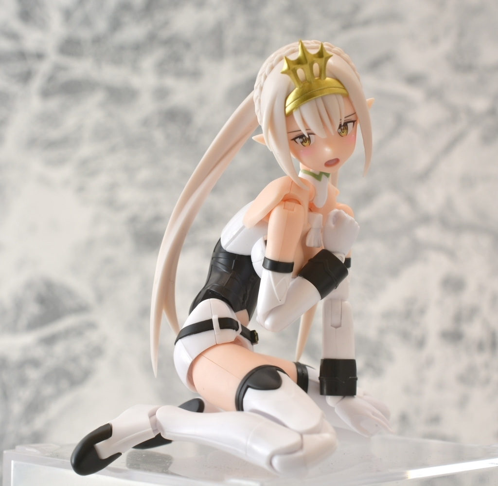 f:id:aokami:20190210135250j:plain