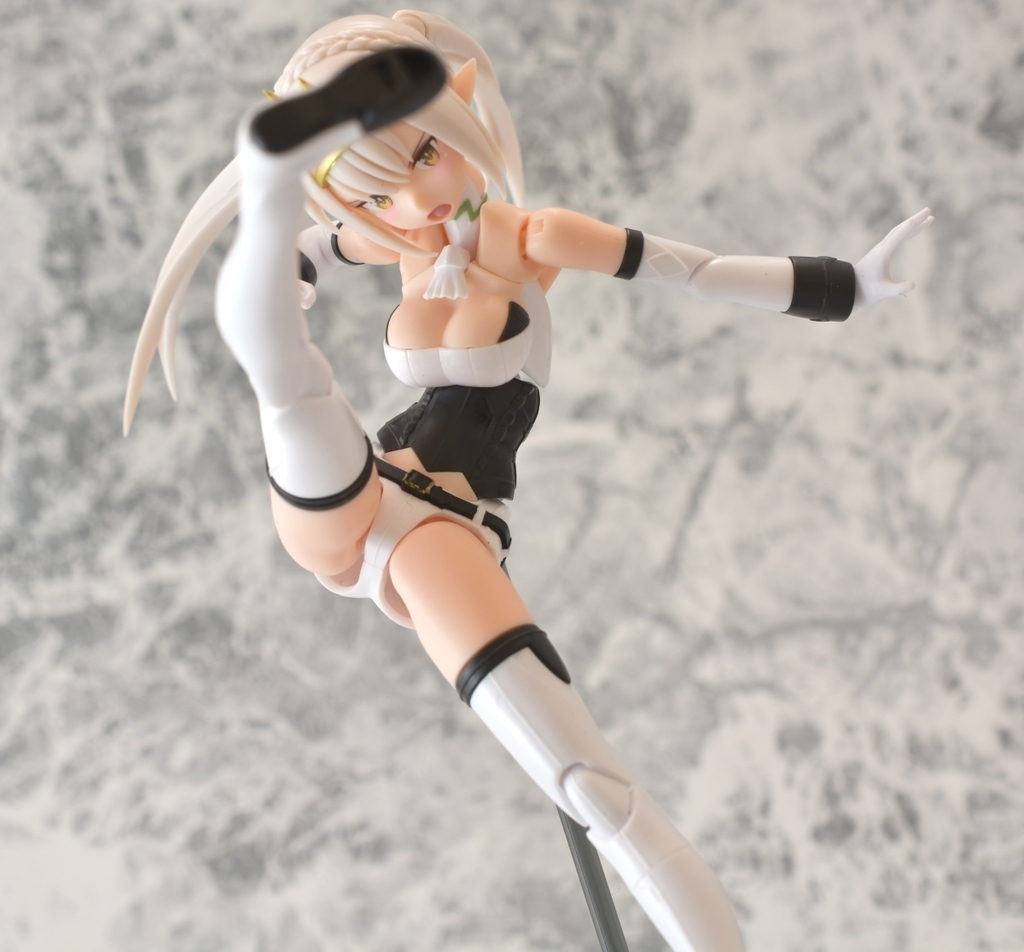 f:id:aokami:20190210135305j:plain
