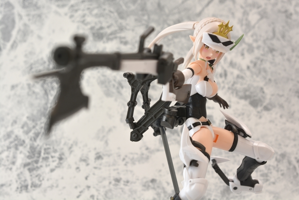 f:id:aokami:20190210145715j:plain