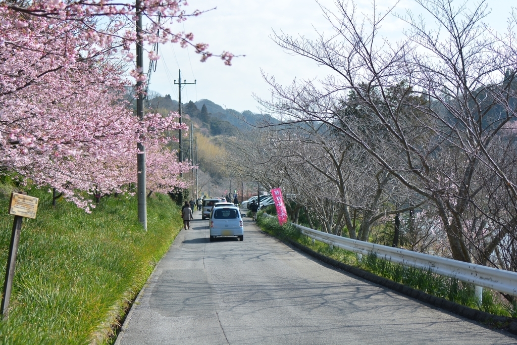f:id:aokami:20190302232910j:plain