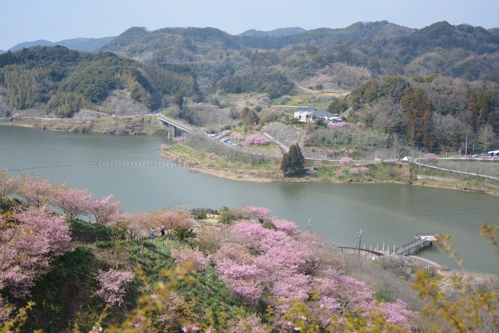 f:id:aokami:20190302233851j:plain