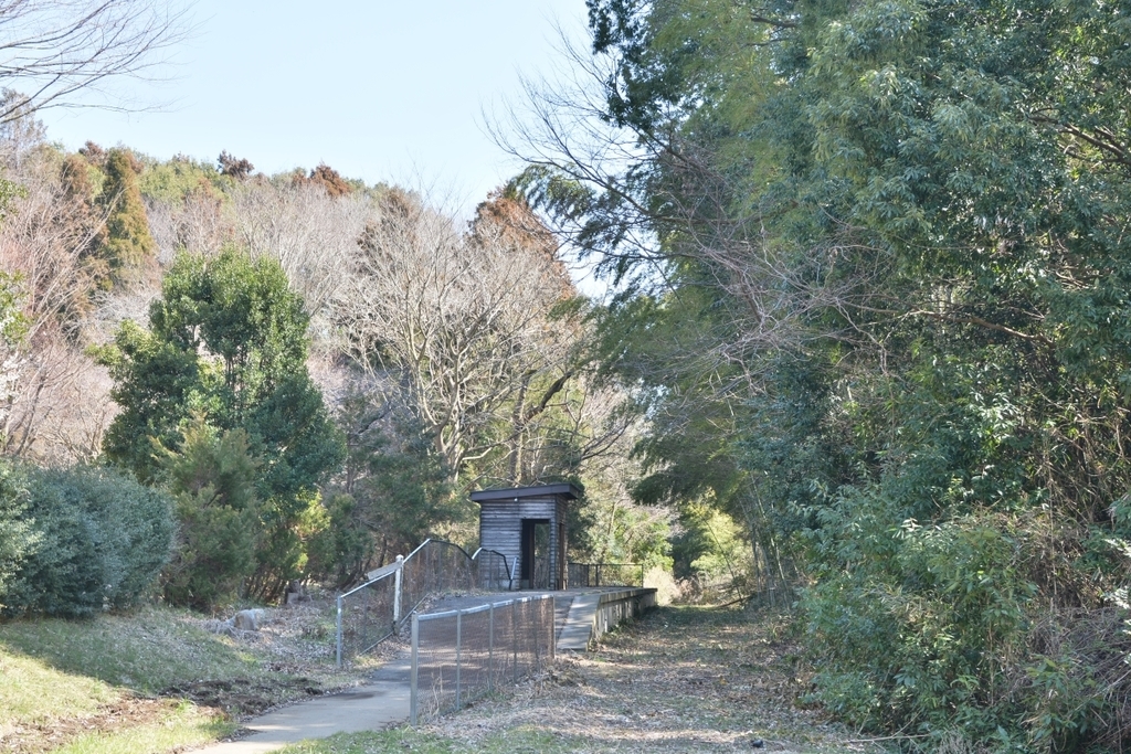 f:id:aokami:20190310144226j:plain f:id:aokami:20190310144226j:plain