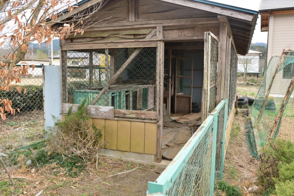 f:id:aokami:20190330101831j:plain
