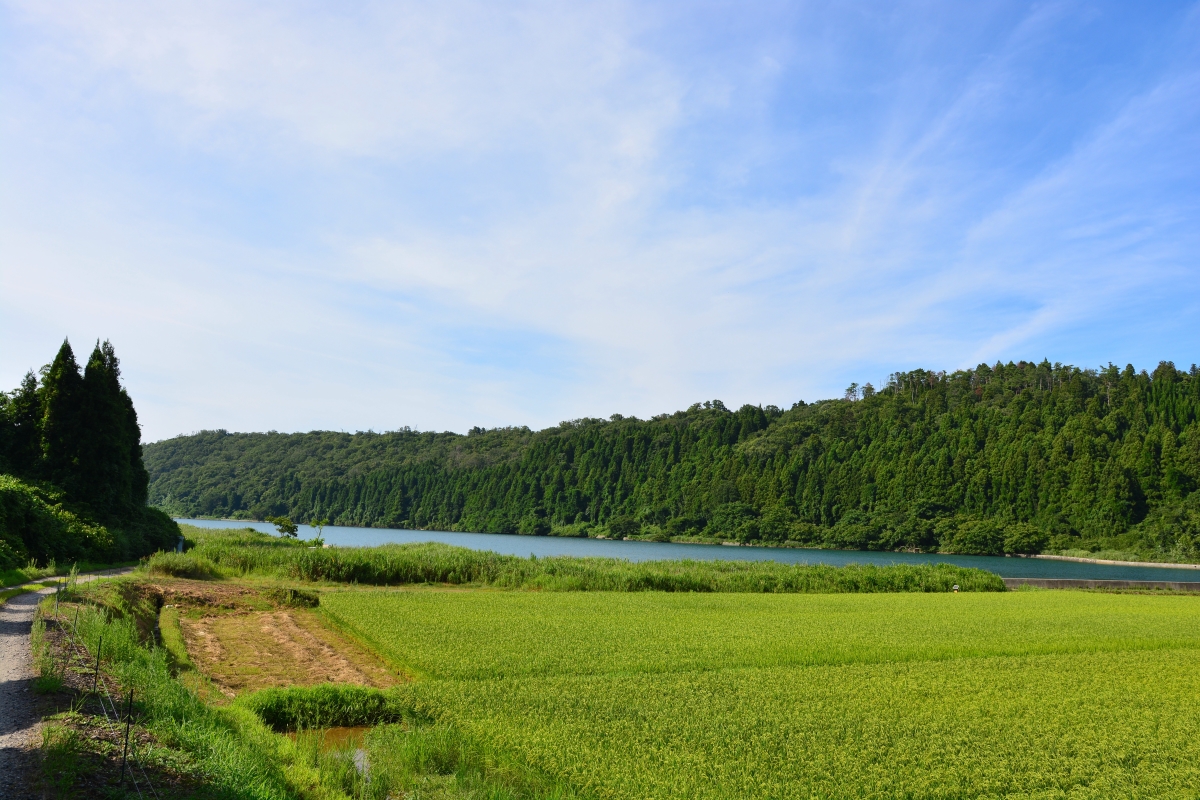 f:id:aokami:20190817134421j:plain