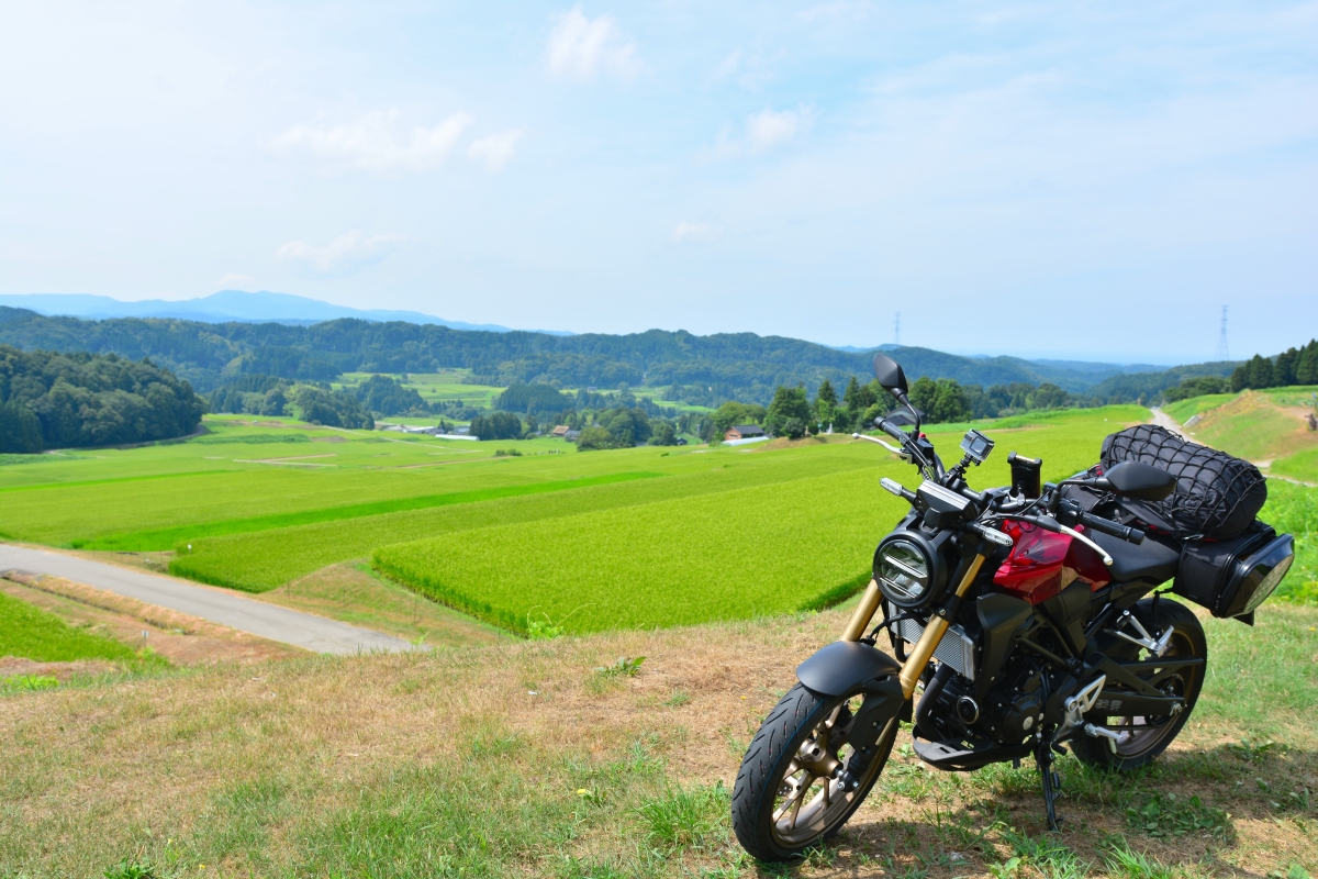 f:id:aokami:20190818120704j:plain