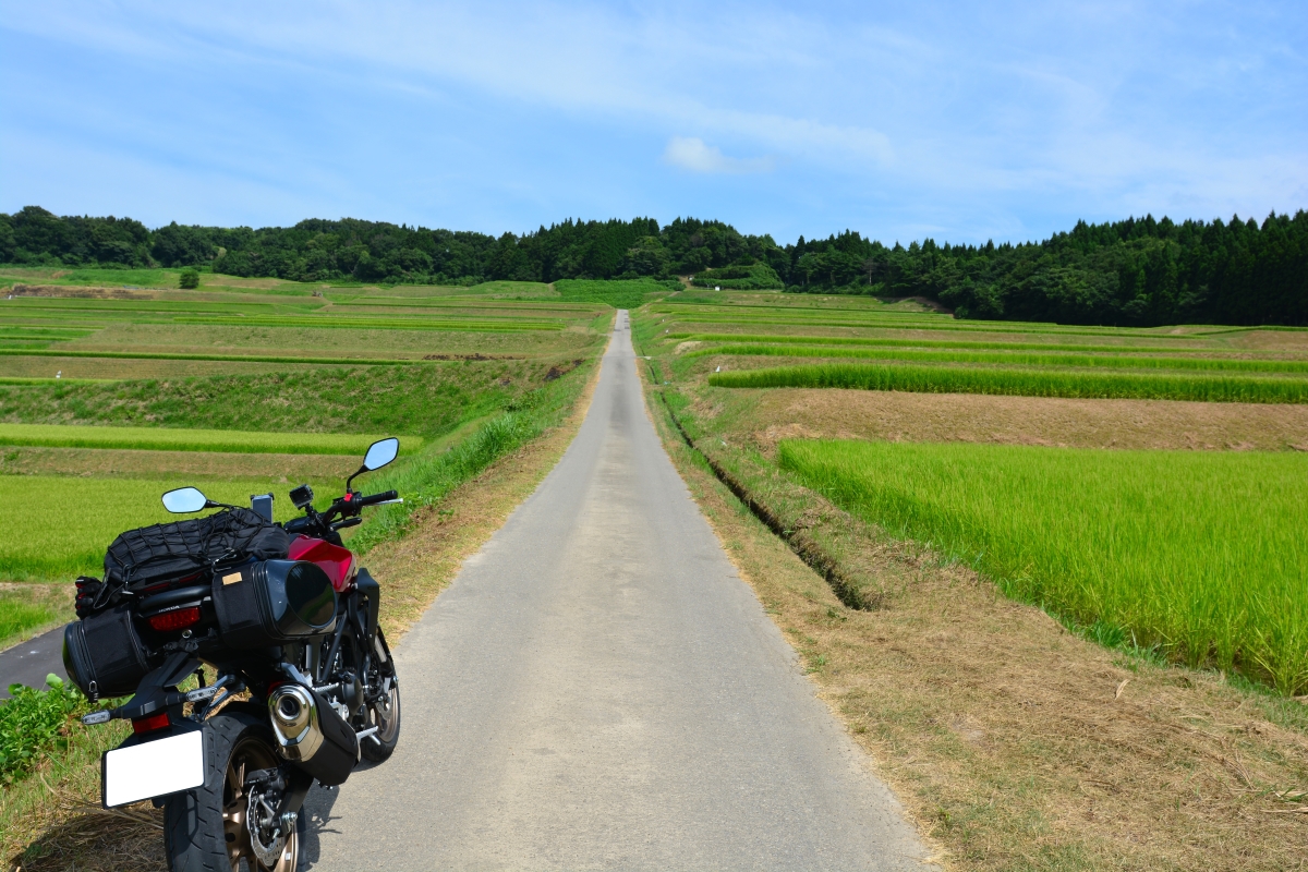 f:id:aokami:20190818120802j:plain
