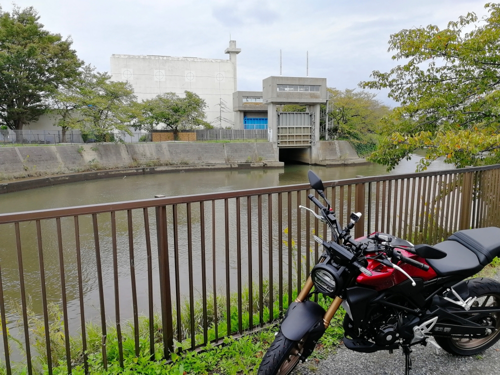 f:id:aokami:20191020181435j:plain