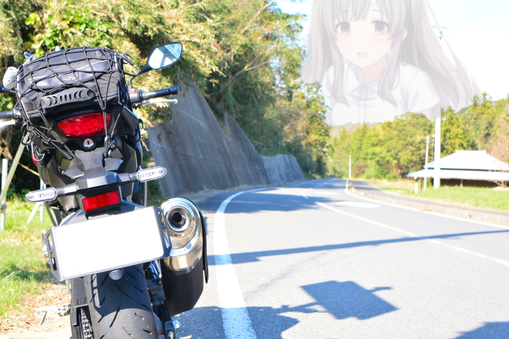f:id:aokami:20191116145946j:plain
