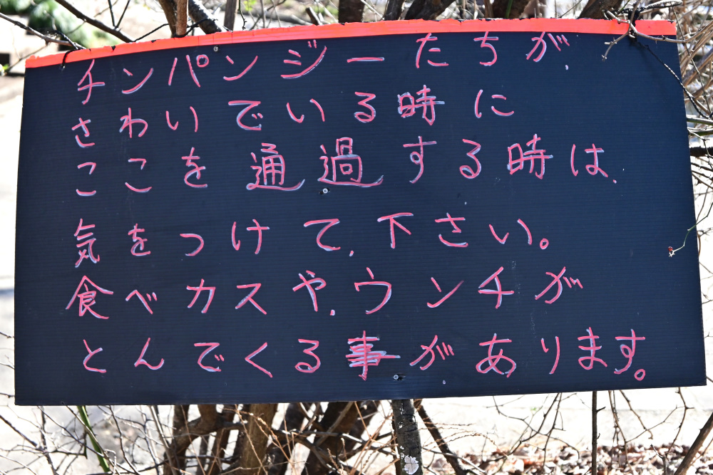 f:id:aokami:20200211102315j:plain