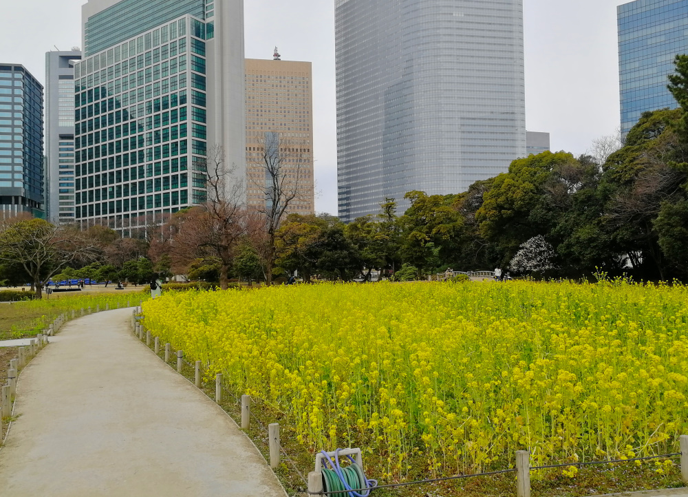f:id:aokami:20200216145006j:plain