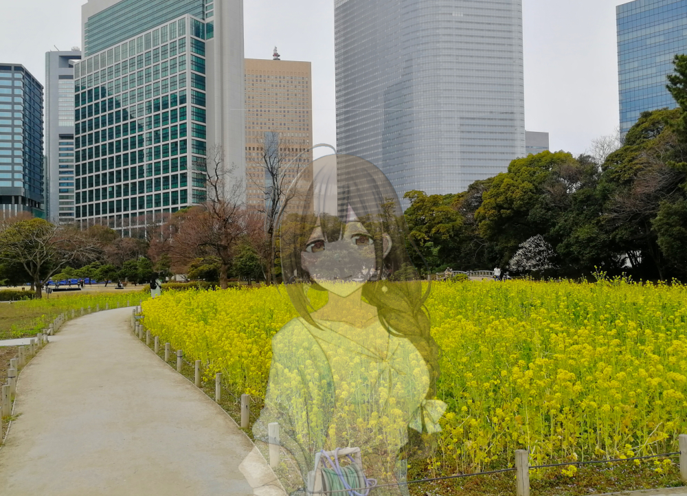 f:id:aokami:20200216145558j:plain