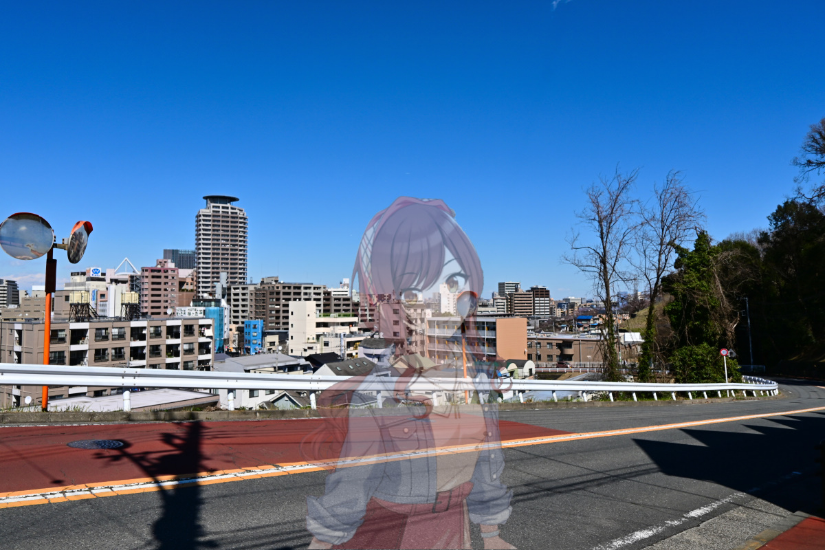 f:id:aokami:20200606150013j:plain