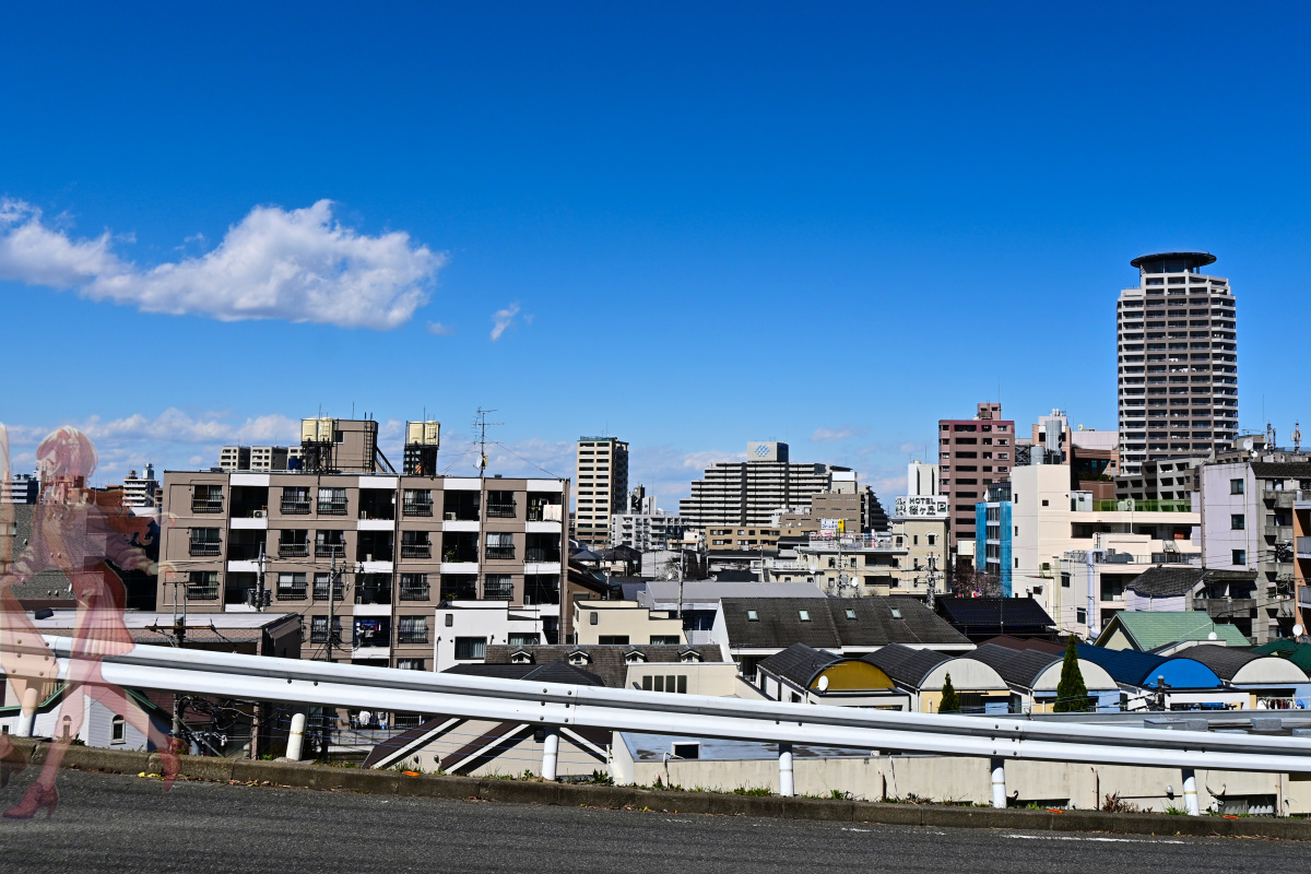 f:id:aokami:20200606154340j:plain