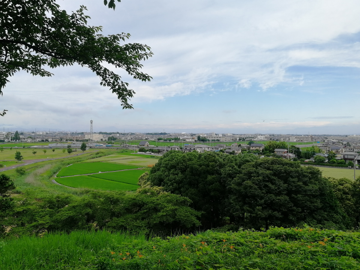 f:id:aokami:20200725113657j:plain