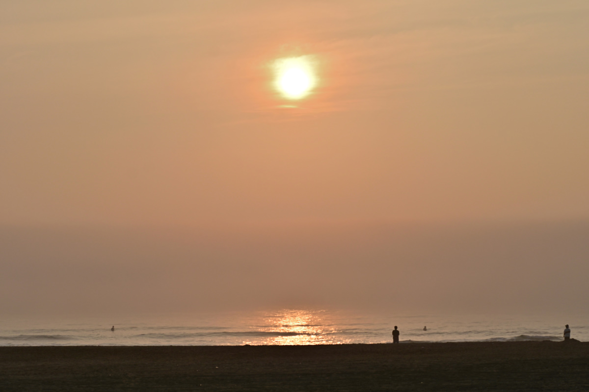 f:id:aokami:20200816142346j:plain