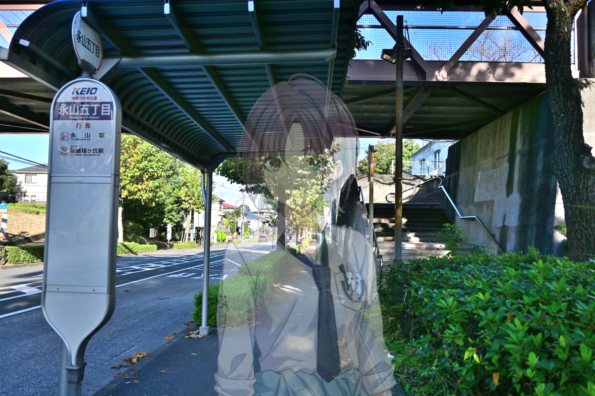 f:id:aokami:20201025141034j:plain