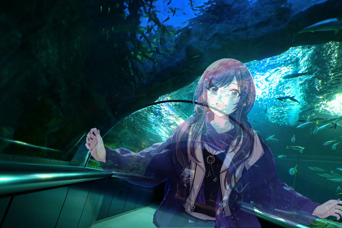 f:id:aokami:20201121115146j:plain
