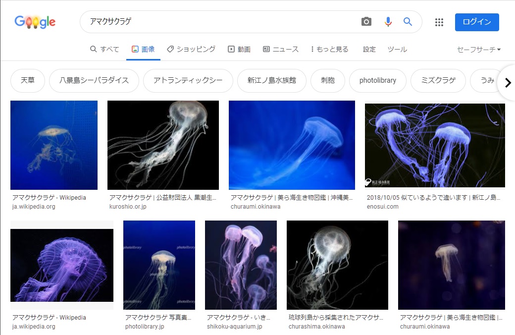 f:id:aokami:20201205125928j:plain