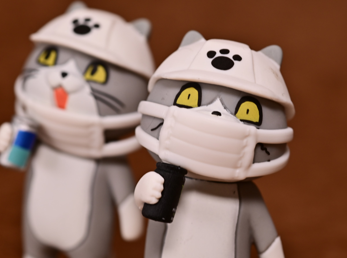 f:id:aokami:20210117154838j:plain