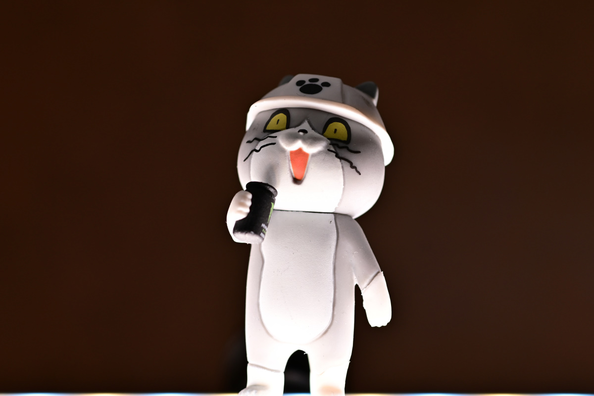 f:id:aokami:20210117161050j:plain