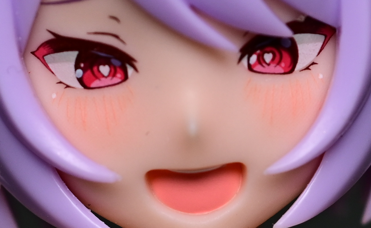 f:id:aokami:20210307134751j:plain