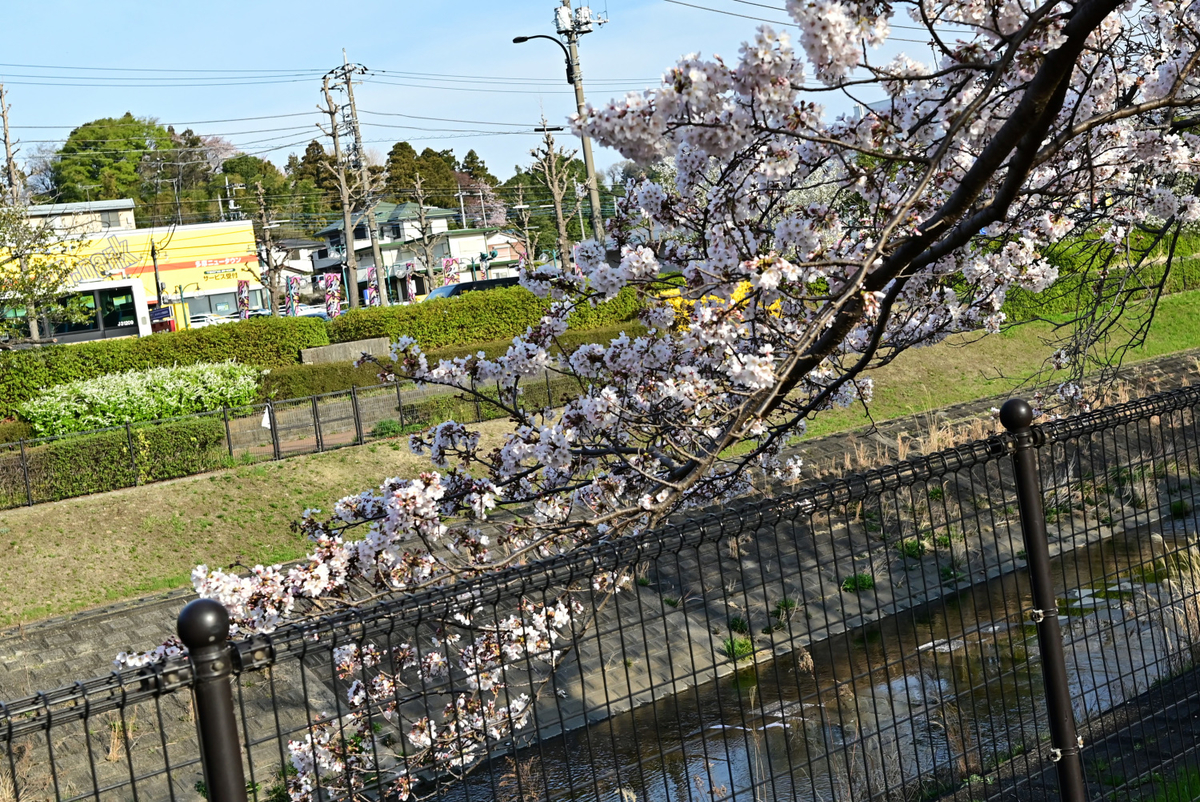 f:id:aokami:20210328173259j:plain