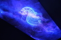 20250728220627