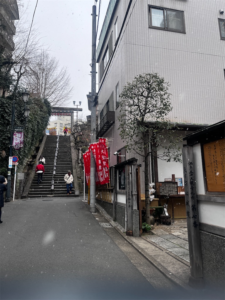 f:id:aoki_ameiro:20260210105201j:image