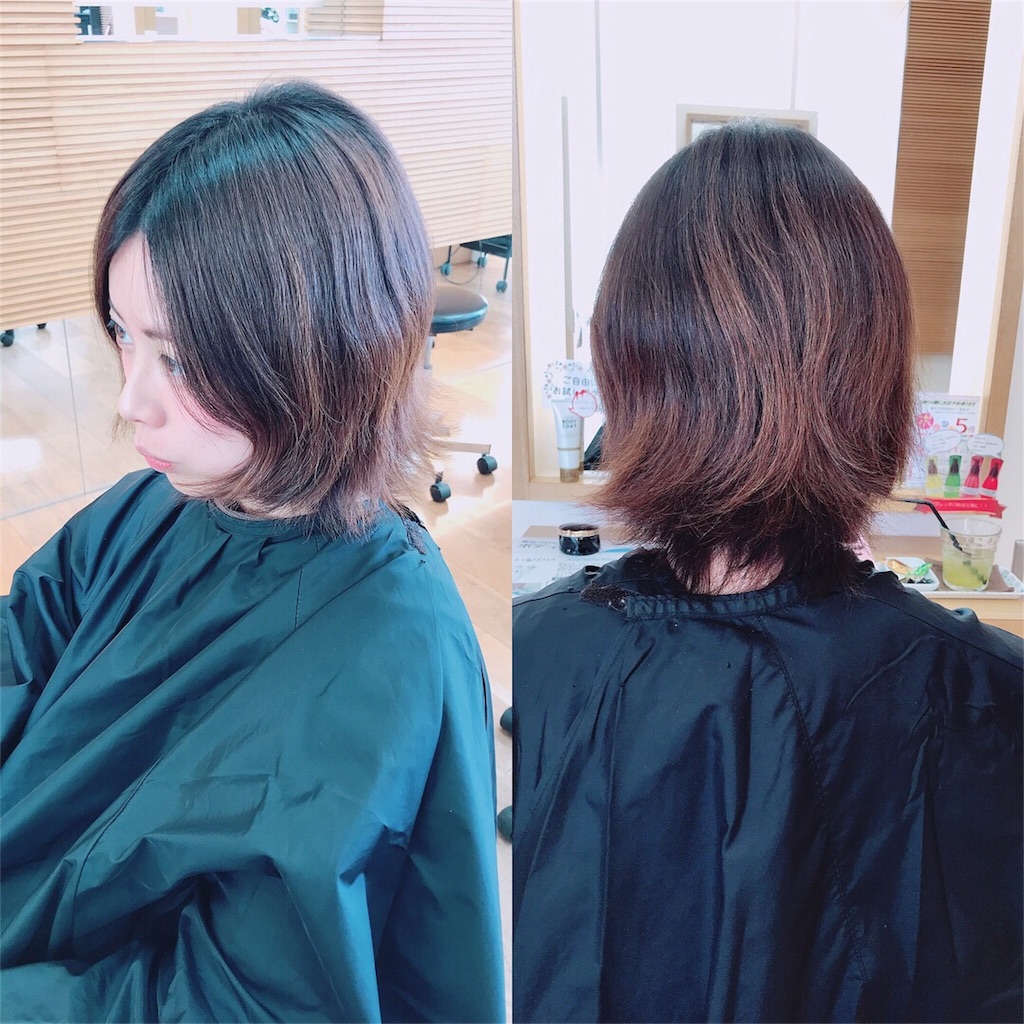 f:id:aokiyusaju:20180207231255j:image