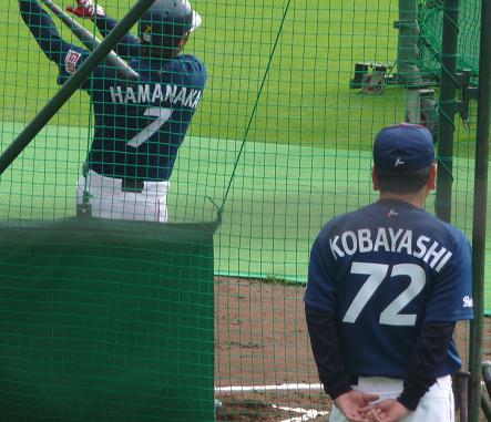 イメージ 7