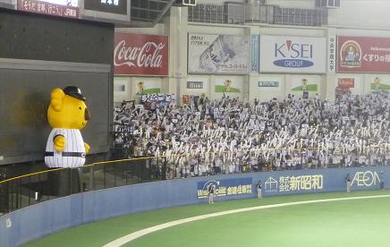 イメージ 10