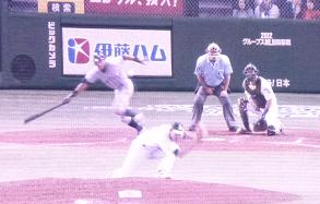 イメージ 16