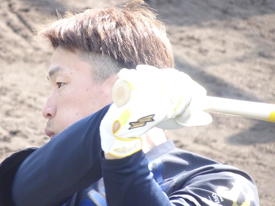 f:id:aokobura66:20200211110806j:plain