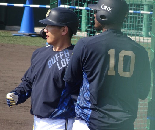 f:id:aokobura66:20200214004059j:plain f:id:aokobura66:20200214004059j:plain