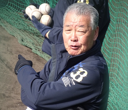 f:id:aokobura66:20200214004238j:plain f:id:aokobura66:20200214004238j:plain