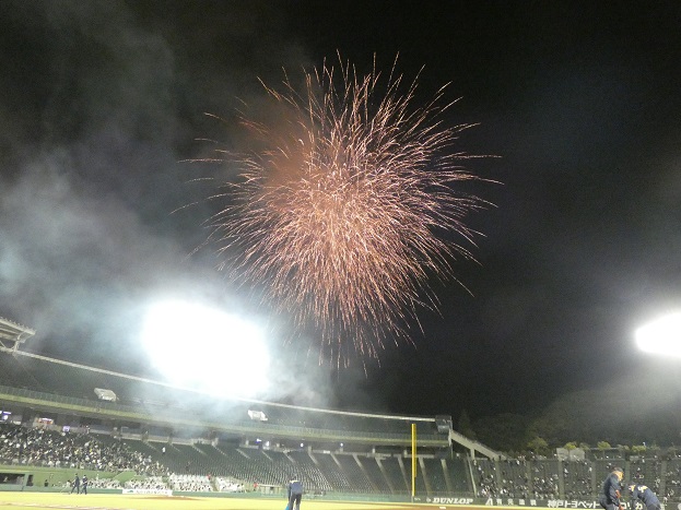 f:id:aokobura66:20210526002941j:plain