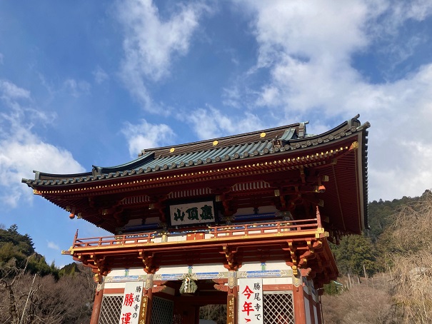 f:id:aokobura66:20220104231530j:plain
