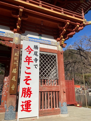f:id:aokobura66:20220104235458j:plain
