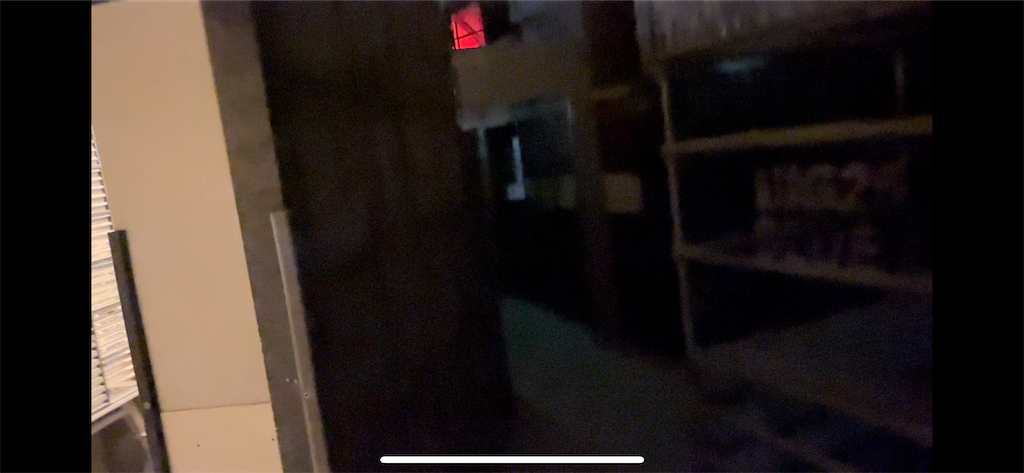 f:id:aokun_fox:20240513211639p:image