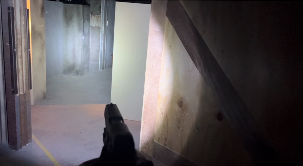 f:id:aokun_fox:20240513211646j:image