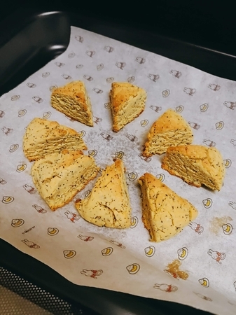 f:id:aokute_gomenne:20210403222023j:plain