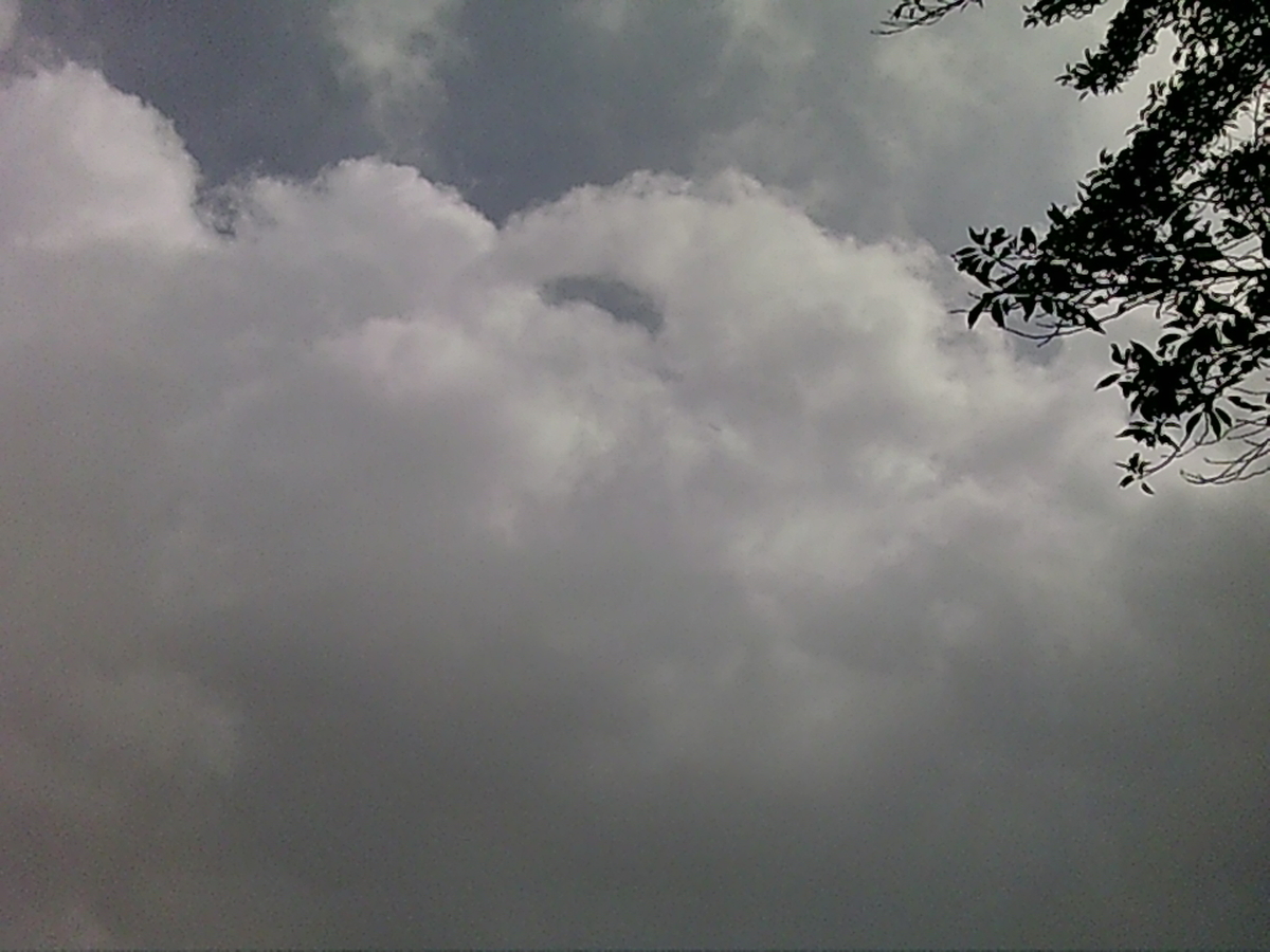 f:id:aomamadiary:20200731232613j:plain f:id:aomamadiary:20200731232613j:plain